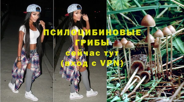 мяу мяу мука Богданович